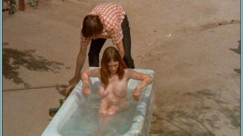 Pic: Terry Gibson in The Pigkeeper's Daughter