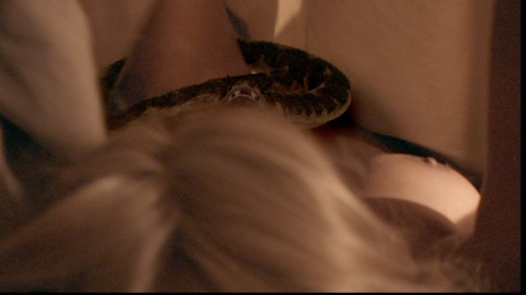 Pic: Mercedes McNab in Vipers