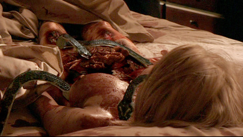 Pic: Mercedes McNab in Vipers