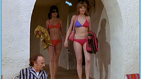 Pic: Carol Hawkins in Carry On Abroad