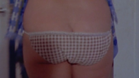 Pic: Diane Lee Hart in The Giant Spider Invasion