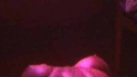 Pic: Haven Gaston in Tigerland