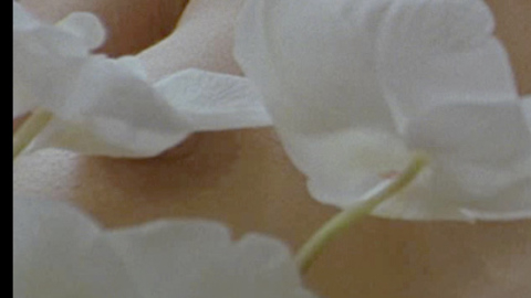 Pic: Shannyn Sossamon in 40 Days and 40 Nights