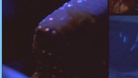 Pic: Monet Mazur in Stark Raving Mad (2002)