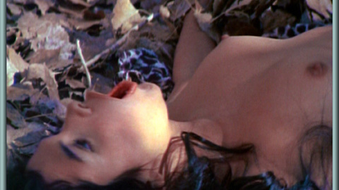 Pic: Helen Lang in Tarz & Jane, Cheetah & Boy