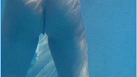 Pic: Nancy O'Brien in Web of Seduction