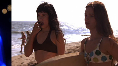 Pic: Meadow Sisto in Board Heads (1998)