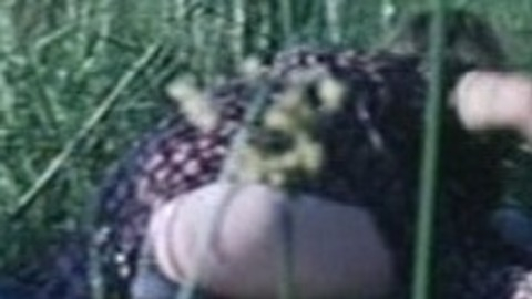 Pic: Jennifer McComb in Lost in Africa