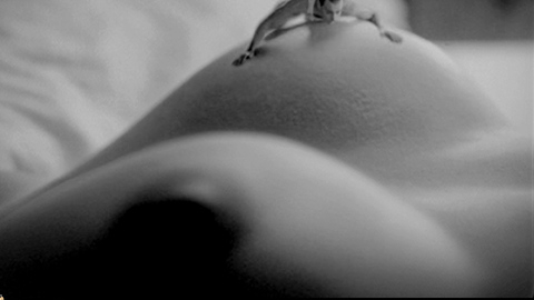 Pic: Paz Vega in Talk to Her