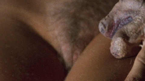 Pic: Alexandra Delli Colli in The New York Ripper