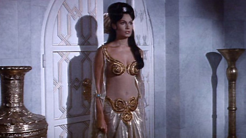 Pic: Rosanna Schiaffino in The Long Ships