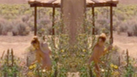 Pic: Joan Allen in Off the Map