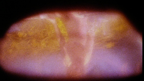 Pic: Gosia Dobrowolska in Careful