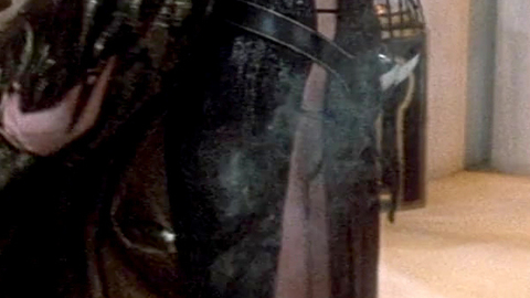 Pic: Sarah Douglas in Conan the Destroyer