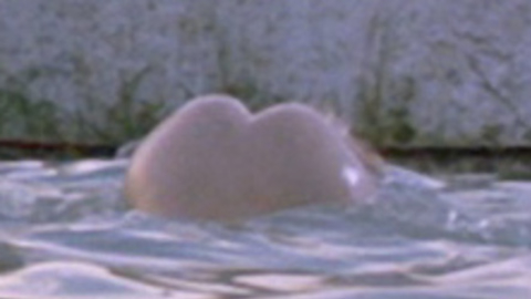 Pic: Jane Asher in The Buttercup Chain