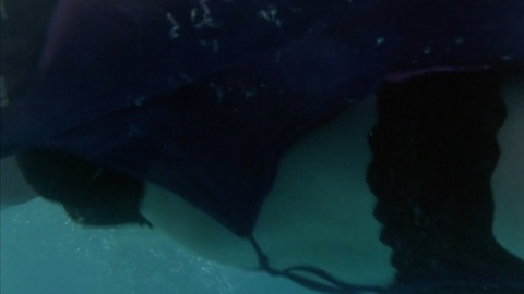 Pic: Chandra West in Water's Edge