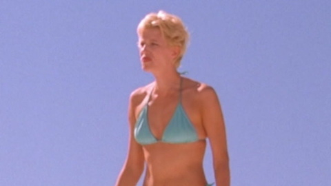 Pic: Anna Gunn in Nobody's Baby