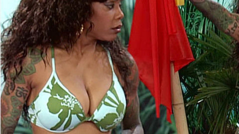 Pic: Debra Wilson in MADtv