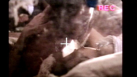 Pic: Michelle Moffett in The Hitchhiker