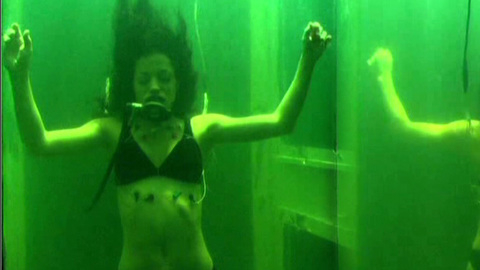 Pic: Emmanuelle Vaugier in Painkiller Jane