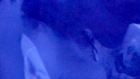 Pic: Pamela Thompson in Carnivore