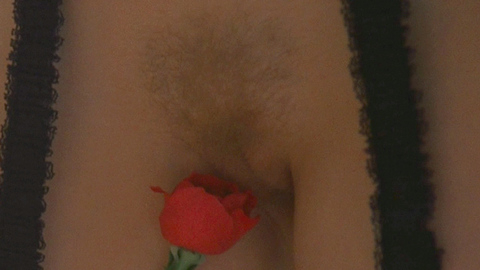 Pic: Rebecca Brooke in The Image