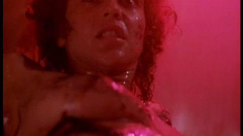 Pic: Neith Hunter in Silent Night, Deadly Night 4