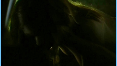 Pic: Jeanne Tremsal in Sweet Little Sixteen