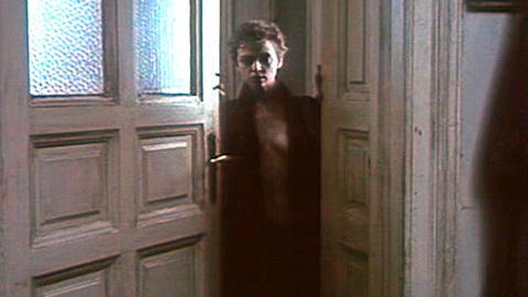 Pic: Katharina Thalbach in Good Evening, Mr. Wallenberg