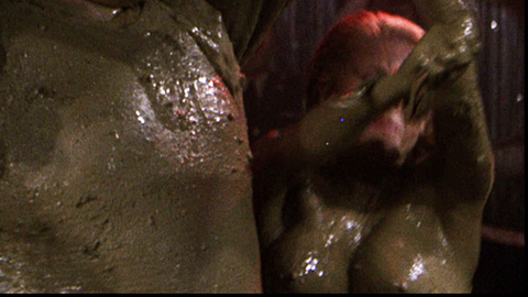 Pic: Sue Bowser in Stripes (1981)