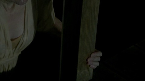 Pic: Patricia Clarkson in Last Weekend