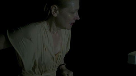 Pic: Patricia Clarkson in Last Weekend