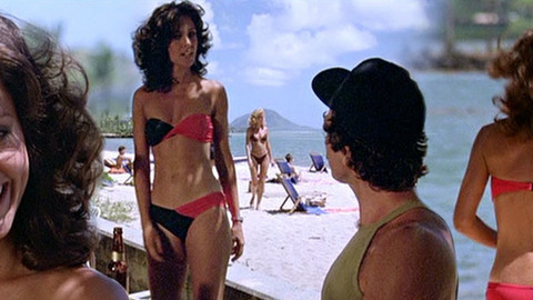 Pic: Erin Gray in Magnum, P.I.