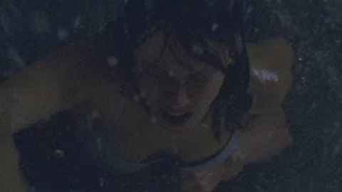 Pic: Susan May Pratt in Open Water 2: Adrift