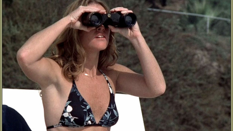 Pic: Kim Lankford in Malibu Beach