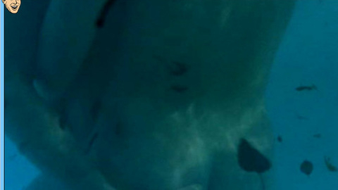 Pic: Nína Dögg Filippusdóttir in The Sea