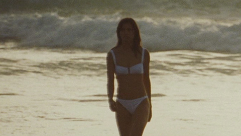 Pic: Bridget Moynahan in Lord of War