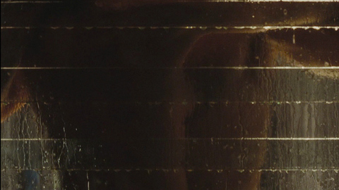 Pic: Bridget Moynahan in Lord of War