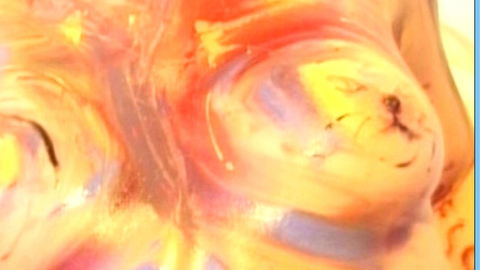 Pic: Anja Gebel in Rigor Mortis - The Final Colours