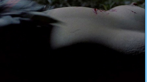 Pic: Pilar Castel in What Have You Done to Solange?