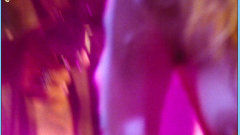 Pic: Sheri Moon Zombie in The Devil's Rejects (2005)