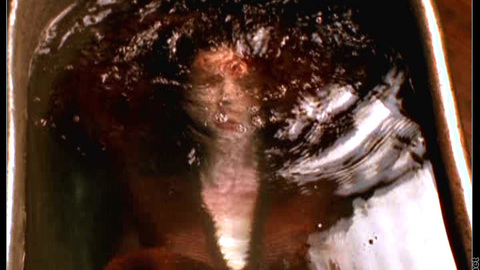 Pic: Lisa Ann Hadley in The Hunger (1997-2000)