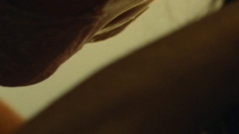 Pic: Michelle Monaghan in Playing It Cool