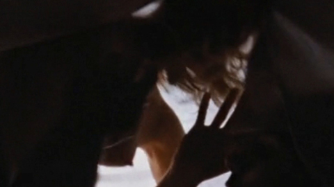 Pic: Rachel McAdams in To the Wonder