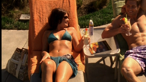 Pic: Sarah Lancaster in Chuck