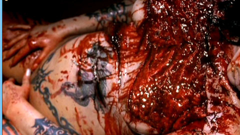 Pic: Vicky Berendsen in Tattoo