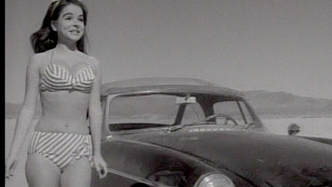 Pic: Susan Bernard in Faster, Pussycat! Kill! Kill!