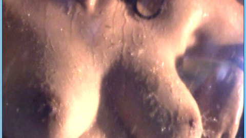 Pic: Katya Santos in Wet, Wild & Kinky