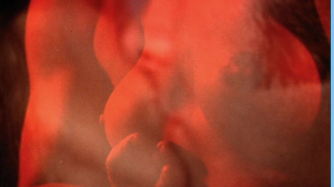 Pic: Mary Charlotte Wilcox in Beast of the Yellow Night