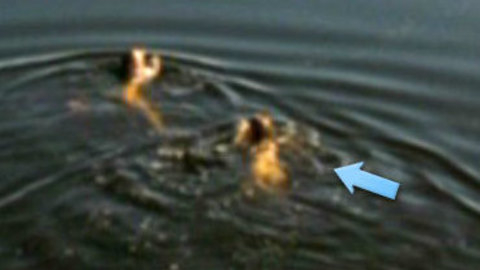 Pic: Jennifer Ulrich in Die Wolke